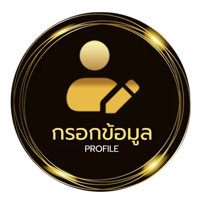 จัดการบัญชี ฮานอยปกติ
